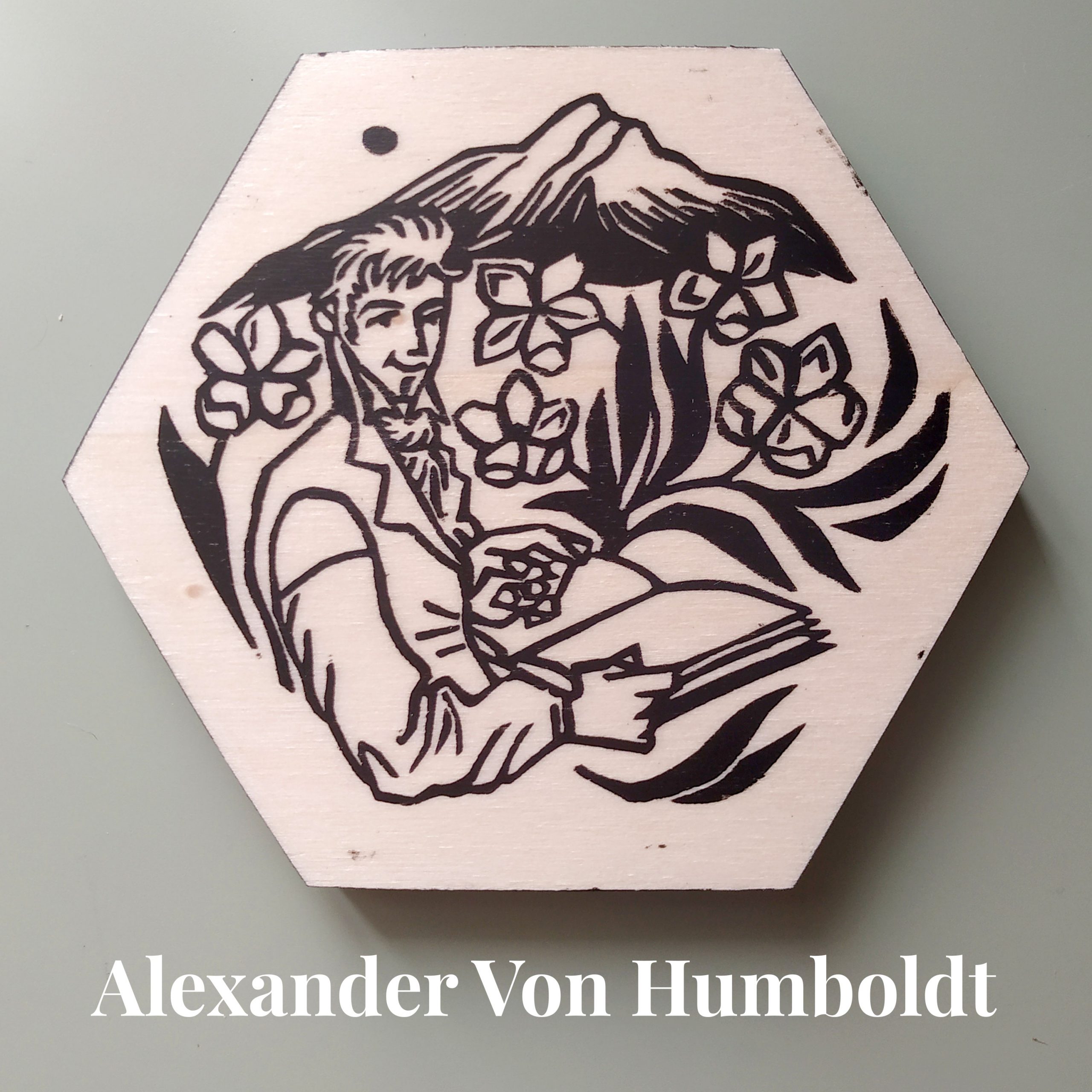 nue-sottobicchiere-nominati-q-AVonHumboldt